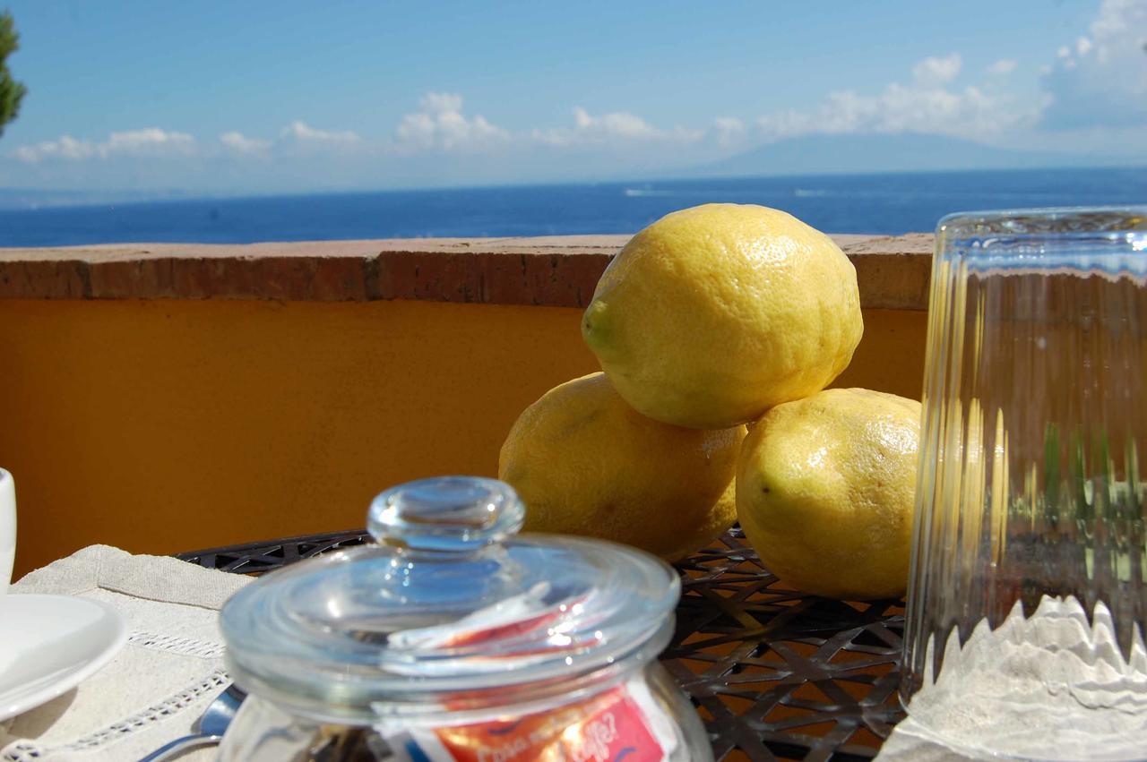 La Terrazza Sul Mare Bed & Breakfast Капри Екстериор снимка