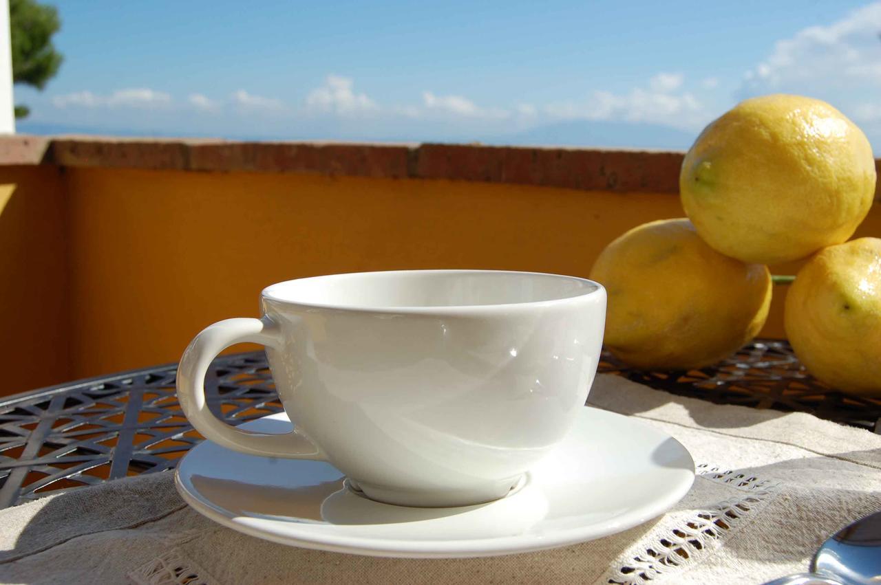 La Terrazza Sul Mare Bed & Breakfast Капри Екстериор снимка