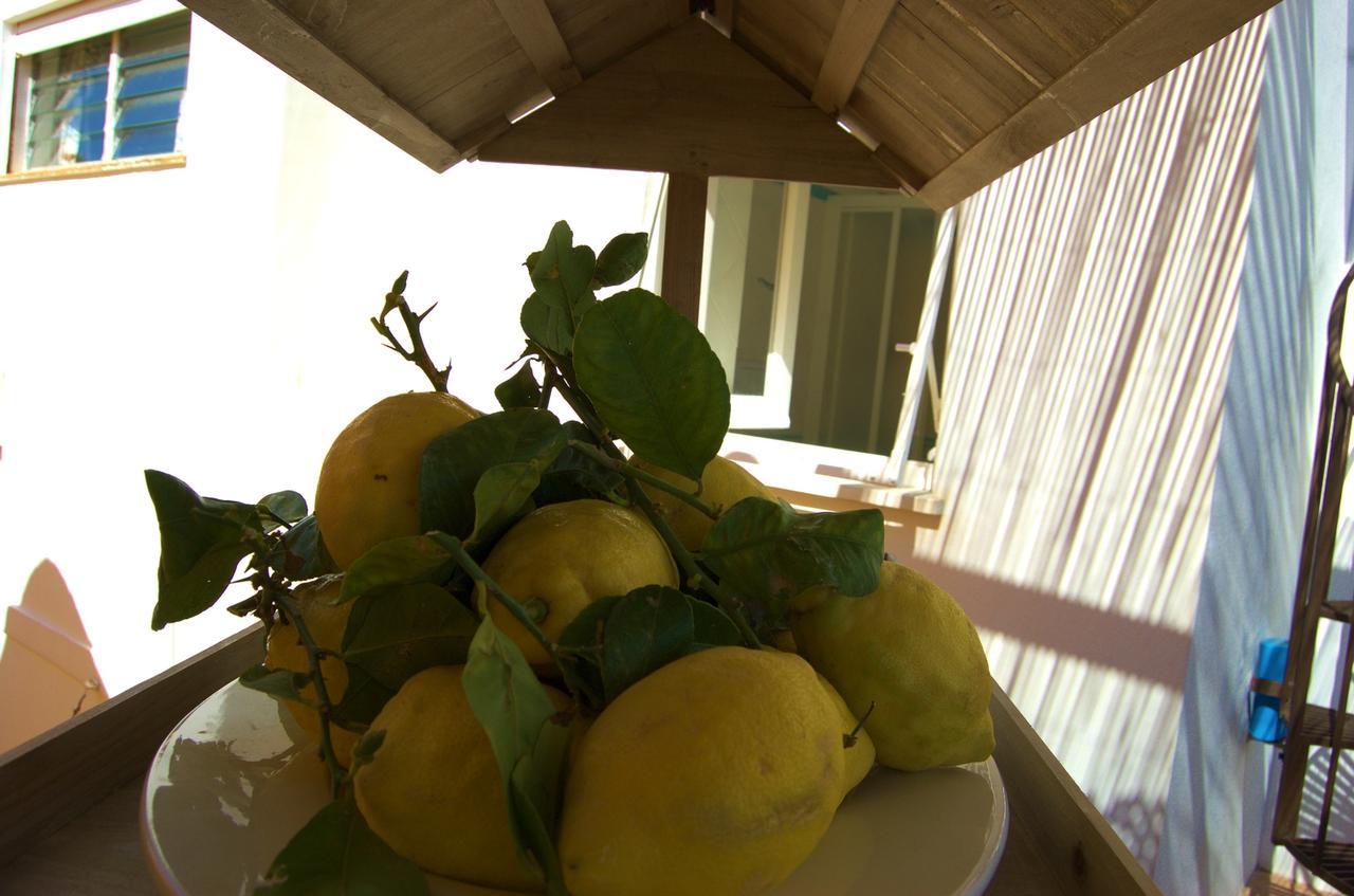 La Terrazza Sul Mare Bed & Breakfast Капри Екстериор снимка