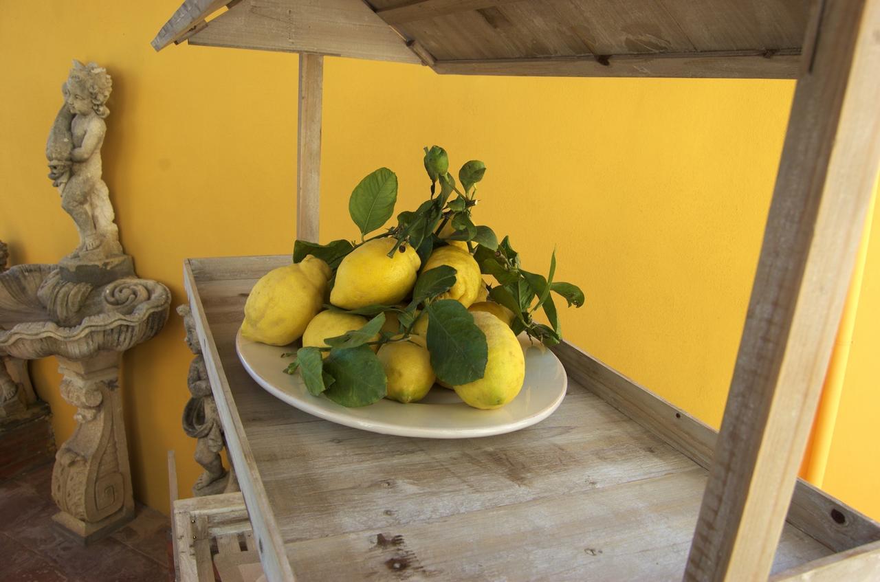 La Terrazza Sul Mare Bed & Breakfast Капри Екстериор снимка